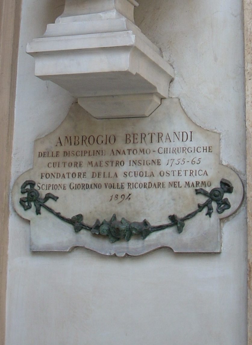 Ambrogio Bertrandi s bust, University of Turin central seat, Turin - 03.JPG